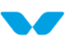 Winglobe Healthcare Pvt Ltd